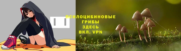 крисы Балахна